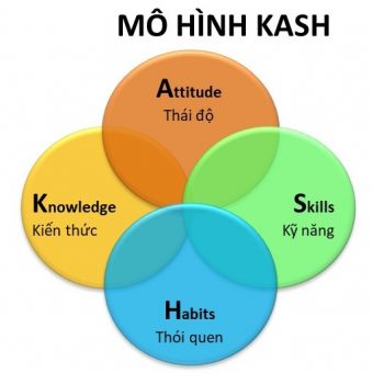 Hrdc Mo Hinh Kash